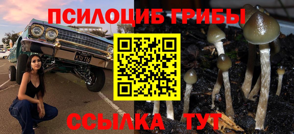 Галлюциногенные грибы прущие грибы  Вход с VPN  Гусев 